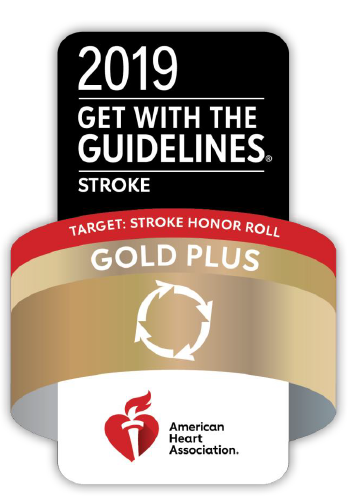 2019 Target Stroke Honor Roll Gold Logo