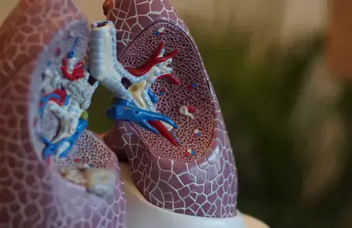 smoking affects your lungs