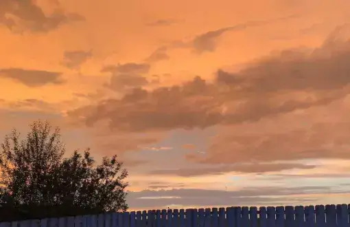 Rachel July blog image