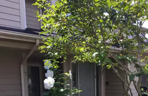 A lovely spot at blogger Susan Towers's home