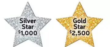 HOL 2020 - silver & Gold Stars