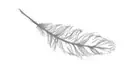 feather 1