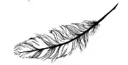 feather 2