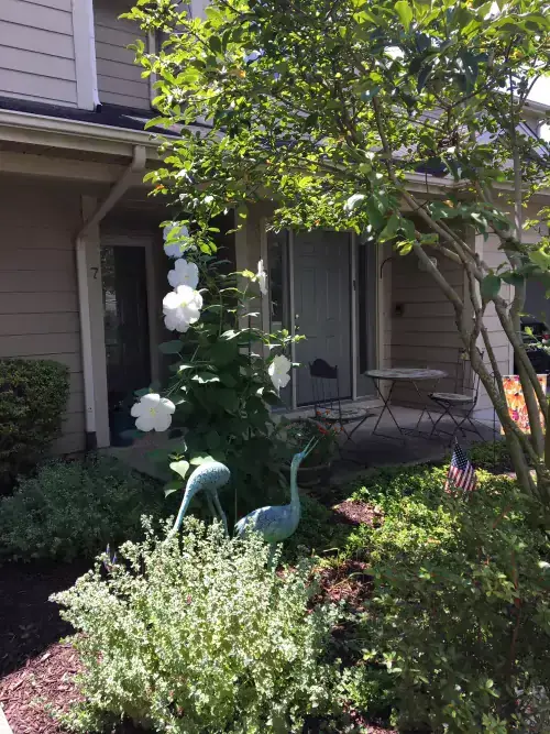 A lovely spot at blogger Susan Towers's home