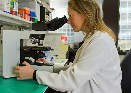 What does my stage of breast cancer mean?