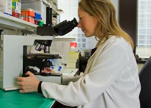 What does my stage of breast cancer mean?