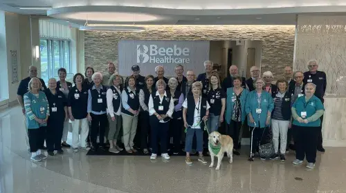 Volunteer Appreciation Day
