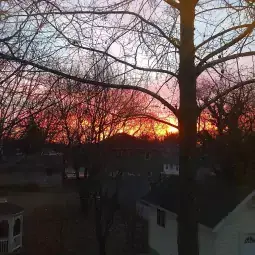 Image file: Sunrise over the backyard of our new home in our new town!
