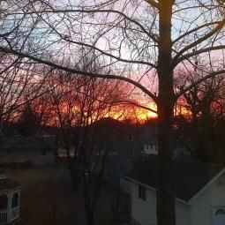 Content image: Sunrise over the backyard of our new home in our new town! Image file: Sunrise over the backyard of our new home in our new town!