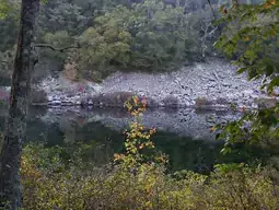 Content image: catfish pond sized Image file: catfish pond sized