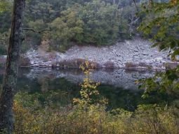 Content image: catfish pond sized Image file: catfish pond sized