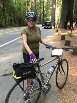 Content image: Sue cycles through the Redwoods, California. Image file: Sue cycles through the Redwoods, California.