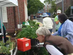 Content image: Lewes in Bloom plant sale Image file: Lewes in Bloom plant sale
