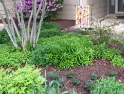 Content image: Planting a garden for pops of spring color. Image file: Planting a garden for pops of spring color.