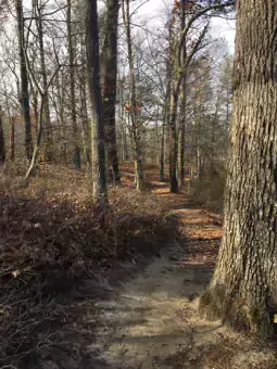 Image file: Path around Killens Pond