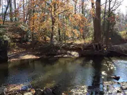 Image file: A picturesque stream