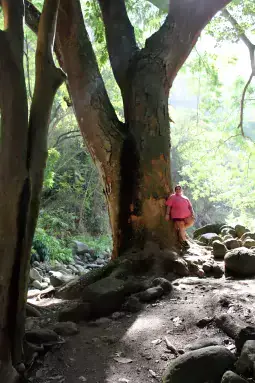Cindy Betts on a recent trip
