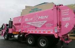 Blue Hen Pink Truck