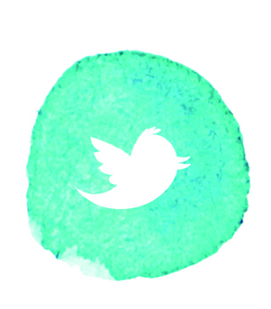 Click to go to our Twitter page. Click to go to our Twitter page.