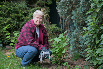 Woman tends to the garden in fall.