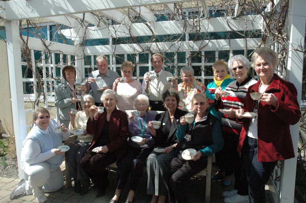 Tea party committee 2013